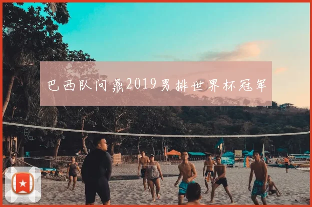 巴西队问鼎2019男排世界杯冠军