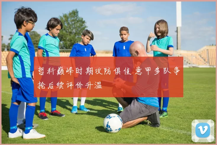哲科巅峰时期攻防俱佳 意甲多队争抢后续评价升温