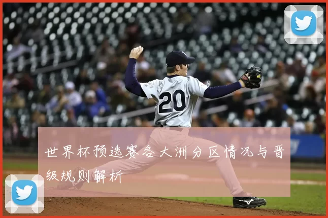 世界杯预选赛各大洲分区情况与晋级规则解析