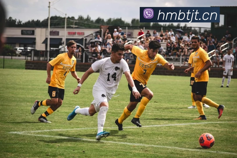 半岛在线 - 半岛在线(中国)服务体系